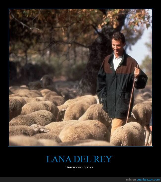 ovejas,lana,lana del rey,felipe vi