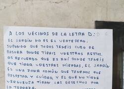 Enlace a Buenos cerdos los del D