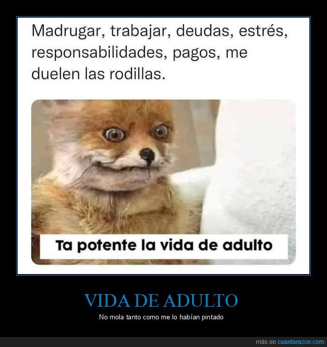 vida,adulto,responsabilidad