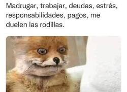 Enlace a Me siento engañado