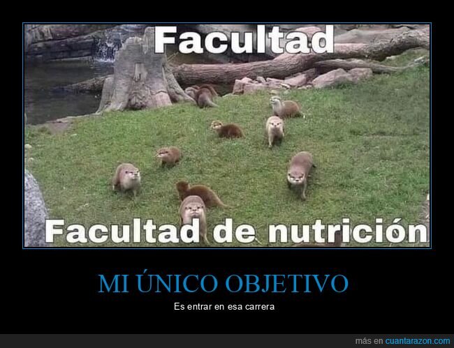 nutria,nutricion,carrera