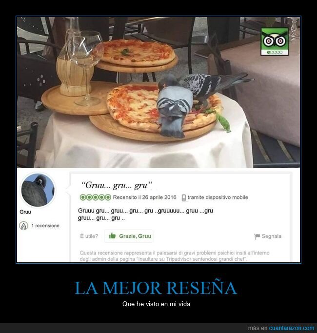 restaurante,paloma,comer