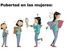 Enlace a Hombres vs mujeres, versión pubertad