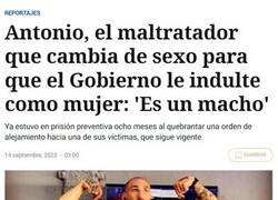 Enlace a Menuda defensa...