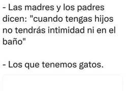 Enlace a No hace falta tener hijos para perder la intimidad...