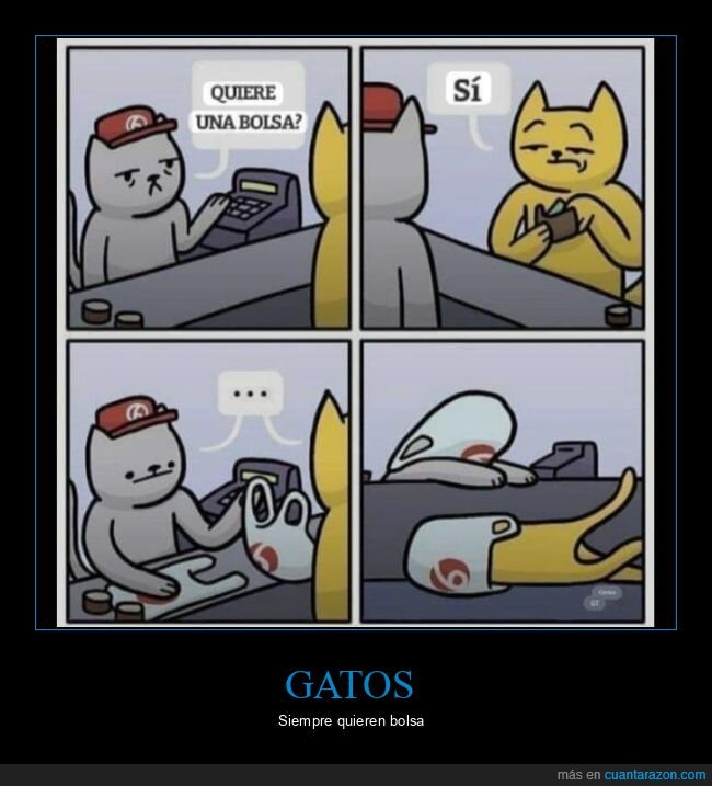 bolsa,gatos