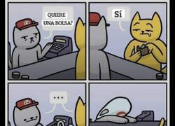 Enlace a Gatos y bolsas