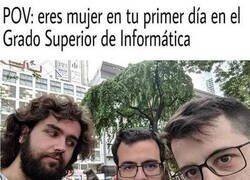 Enlace a Miradas curiosas