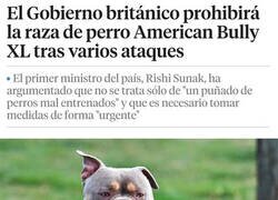 Enlace a Raza prohibida