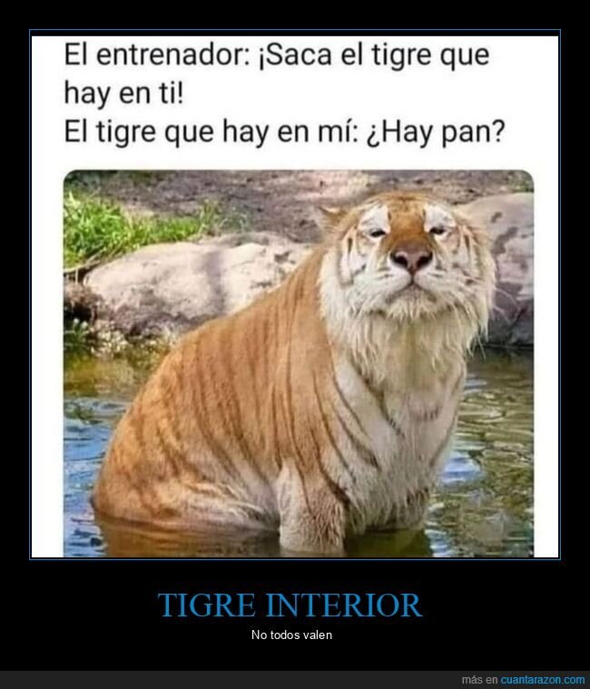entrenador,tigre,sacar