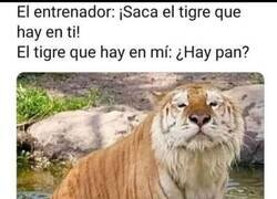 Enlace a El tigre que hay en ti