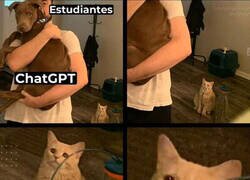 Enlace a Ya nadie piensa en la pobre Wikipedia...