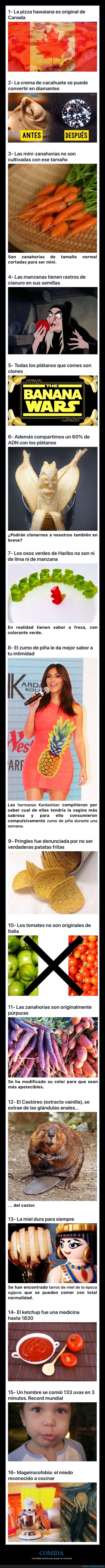 comida,curiosidades