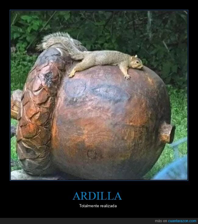 ardilla,bellota,gigante