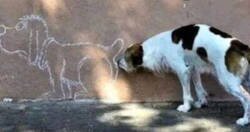 Enlace a Suscriptor de Onlyfans promedio