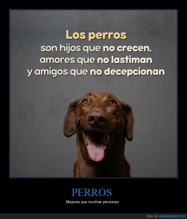 perros,personas