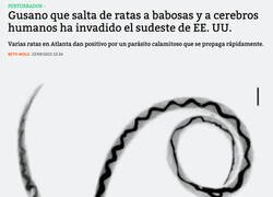 Enlace a La enésima noticia apocalíptica