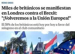 Enlace a Y ahora quieren volver...