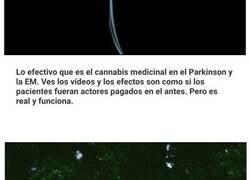 Enlace a Cosas que algunas personas creen que son un fraude pero funcionan al 100%