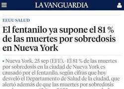 Enlace a Plaga en Nueva York