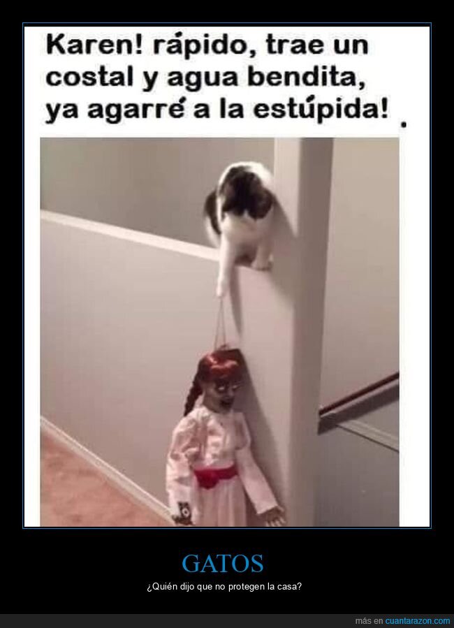 gato,muñeca