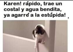 Enlace a Protector del hogar