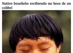 Enlace a Fotos extrañas que sin embargo son normales en Brasil