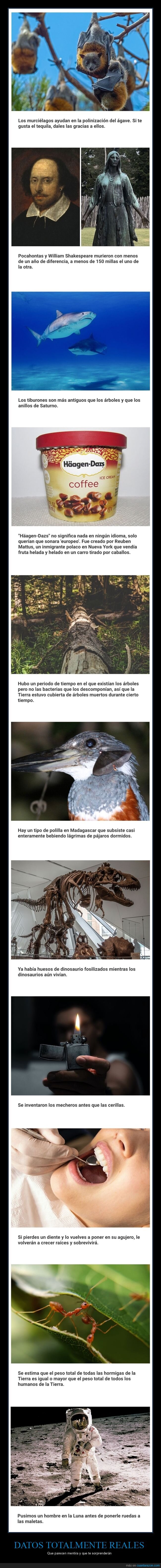 datos,reales,curiosidades