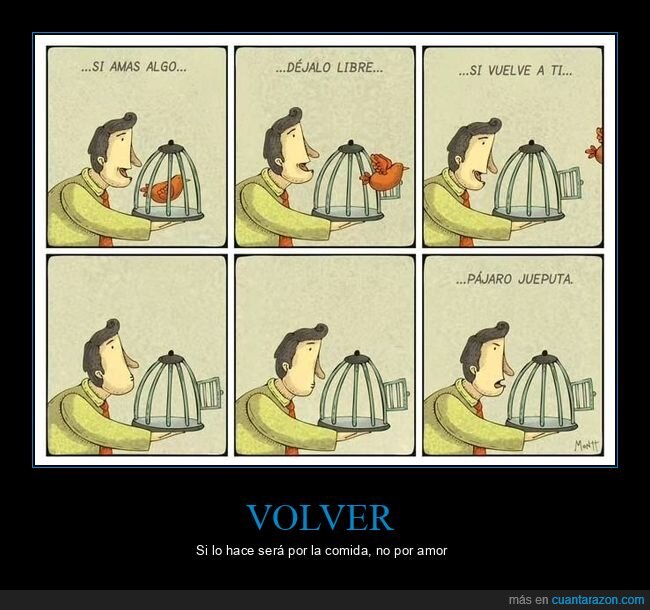 pájaro,jaula,amar,libre,volver