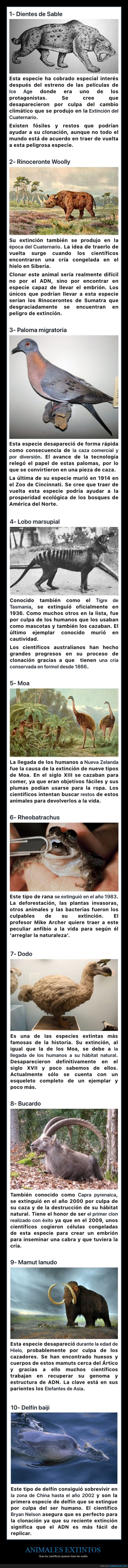 animales,extintos,científicos,traer de vuelta