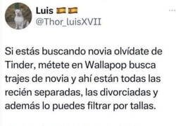 Enlace a Una mente maravillosa