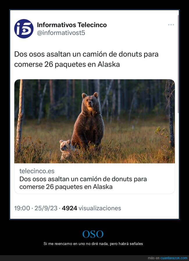 camión,comer,donuts,oso