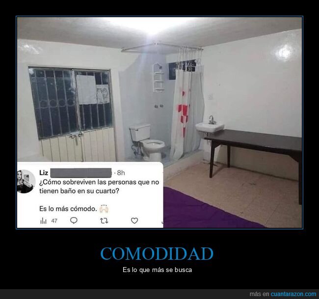 aseo,comodo,habitación,wtf