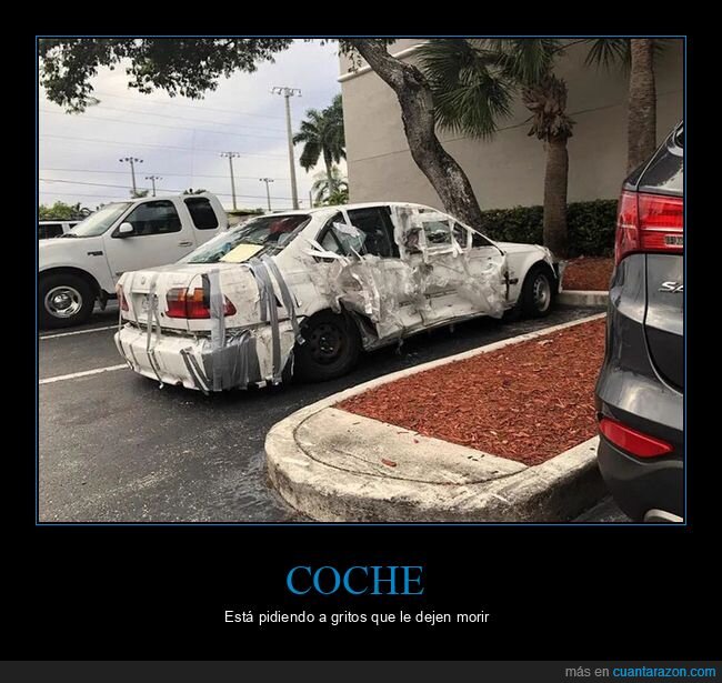 coches,wtf