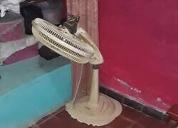 Enlace a Ventilador deprimido