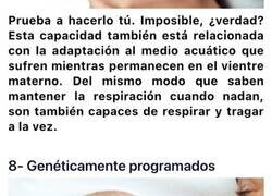 Enlace a Datos curiosos de los recién nacidos que no todos conocen