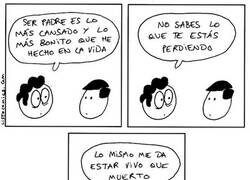 Enlace a Sentimientos contradictorios