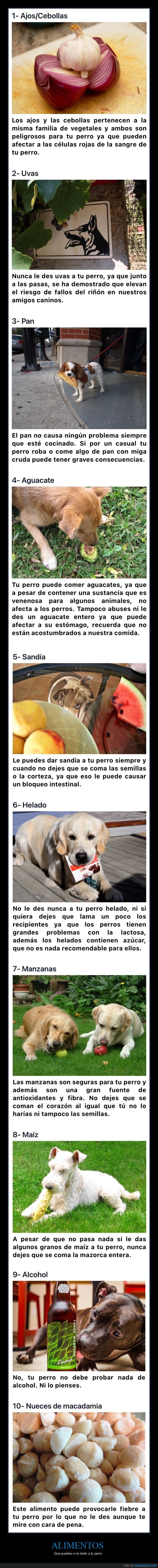 alimentos,perros