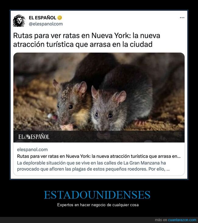 atracción turística,nueva york,ratas,rutas