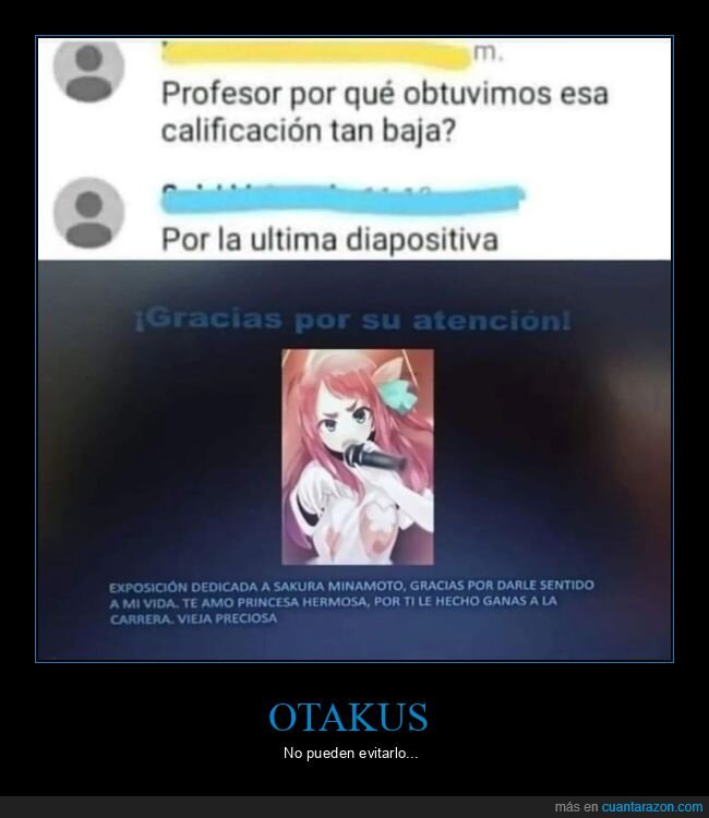 presentación,calificación,baja,otakus