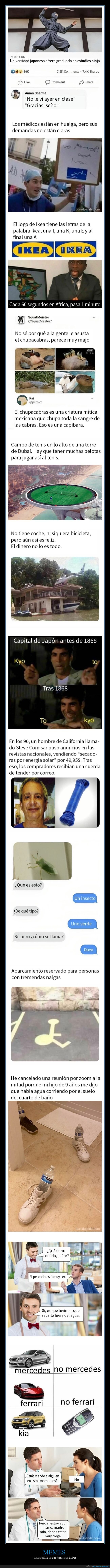 juegos de palabras,memes