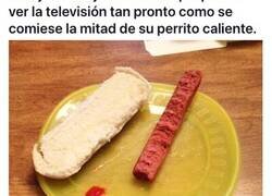 Enlace a Niños que obedecieron las órdenes de sus padres, literalmente