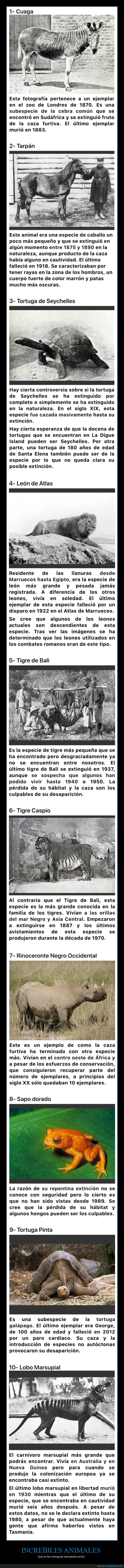 animales,extintos