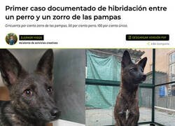 Enlace a Un animal único