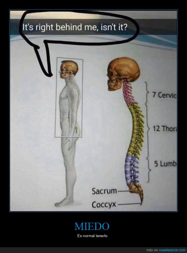 detrás,libro de texto