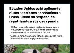 Enlace a La guerra económica entre EEUU y China se recrudece