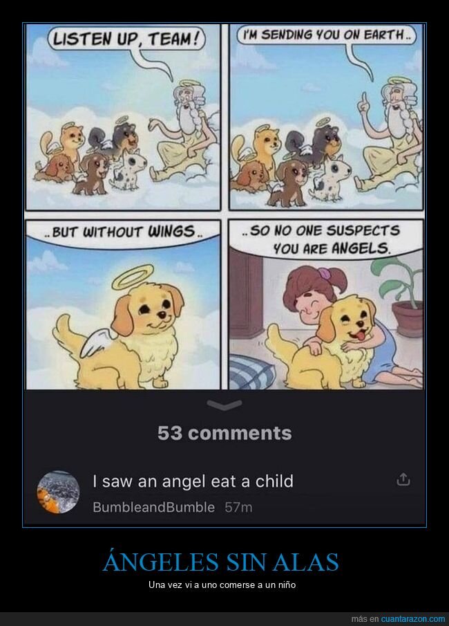 ángeles,comentarios,comer,niño,perros