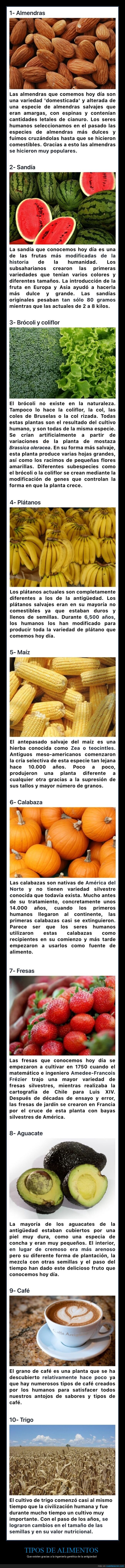 alimentos,ingeniería genética,antigüedad