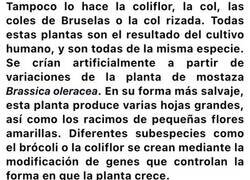 Enlace a Tipos de alimentos que existen gracias a la ingeniería genética de la antigüedad