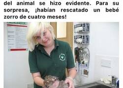 Enlace a Encontraron lo que pensaban que era una especie de cachorro atrapado. Pero no era lo que parecía en un primer momento 